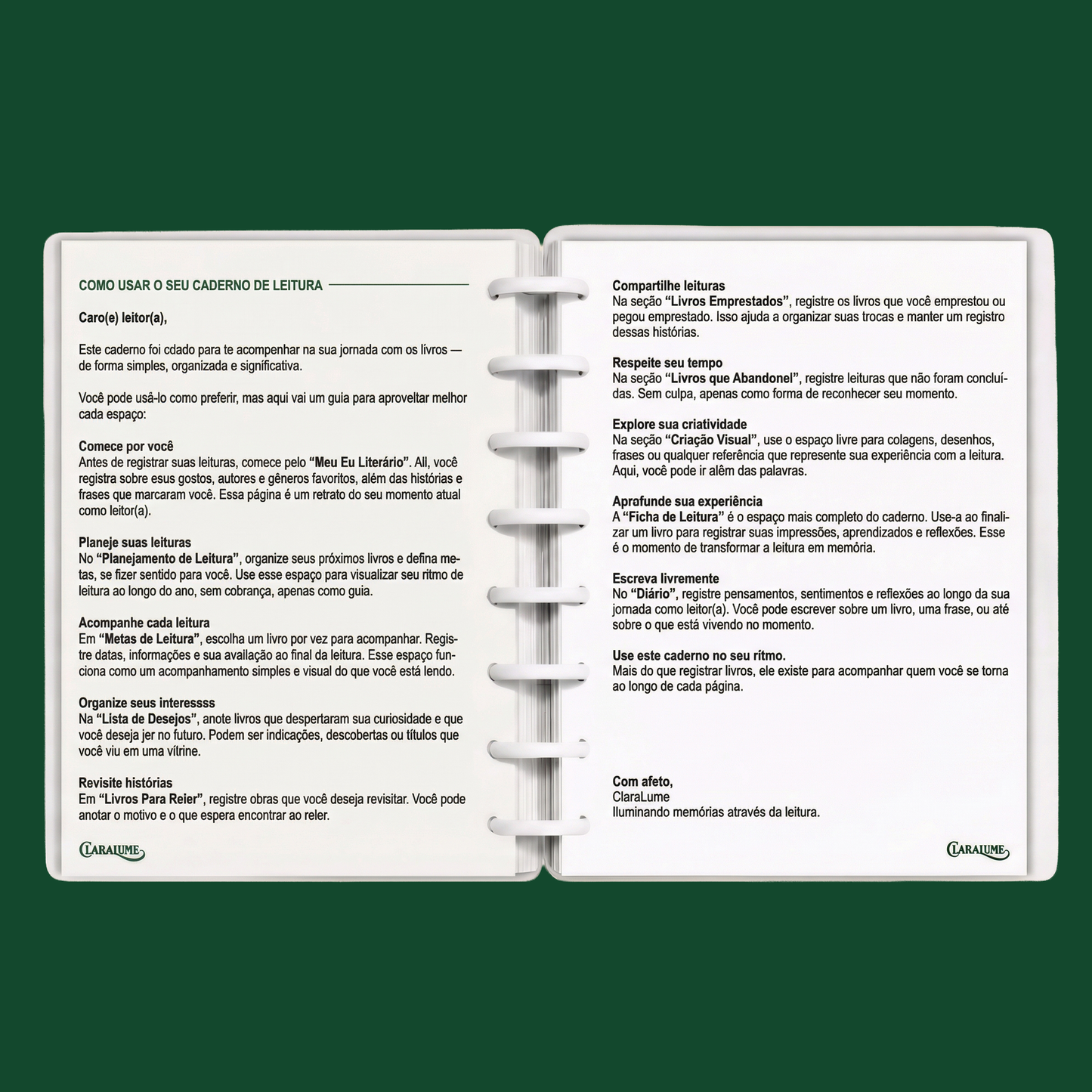 Guia de uso do Caderno de Leitura - como organizar leituras