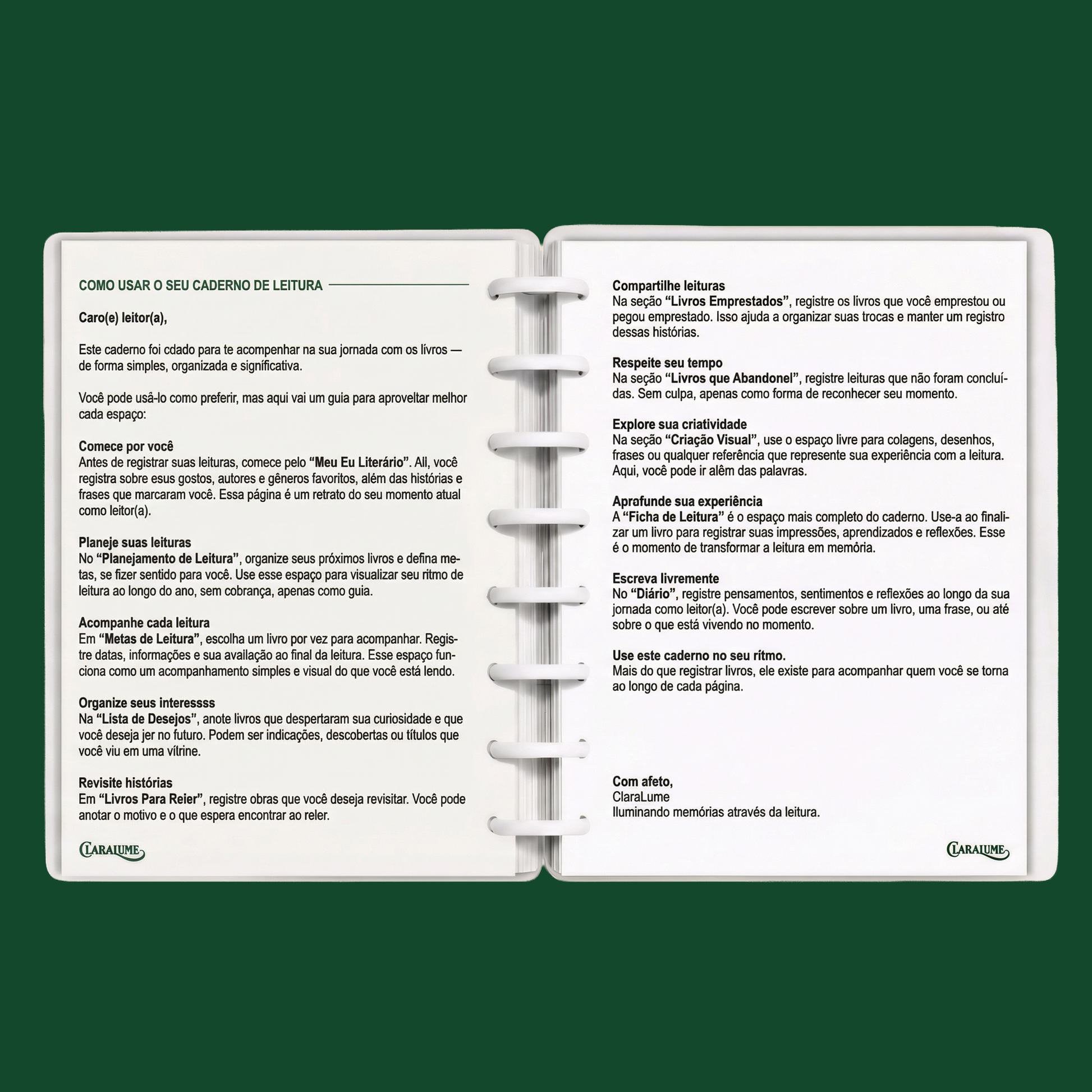 Guia de uso do Caderno de Leitura - como organizar leituras